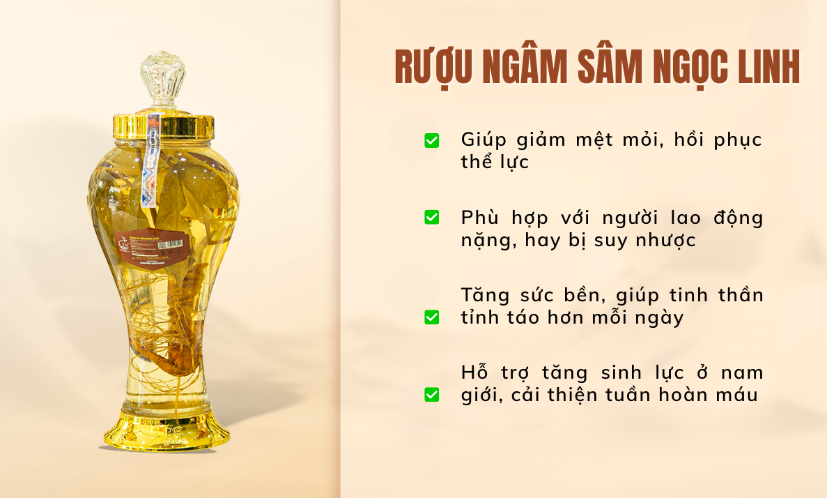 sâm Ngọc Linh ngâm rượu TRIMICO rượu sâm ngọc linh